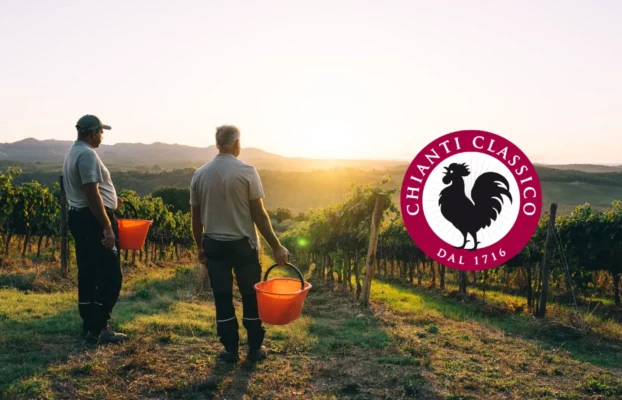 Chianti Classico: The Legacy from Grape to Glass