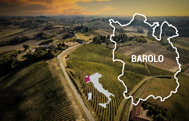 Barolo: The Wines of Kings