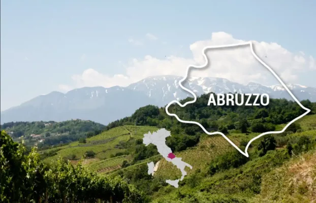 Montepulciano d’Abruzzo: A Wine Steeped in Italian Sunshine